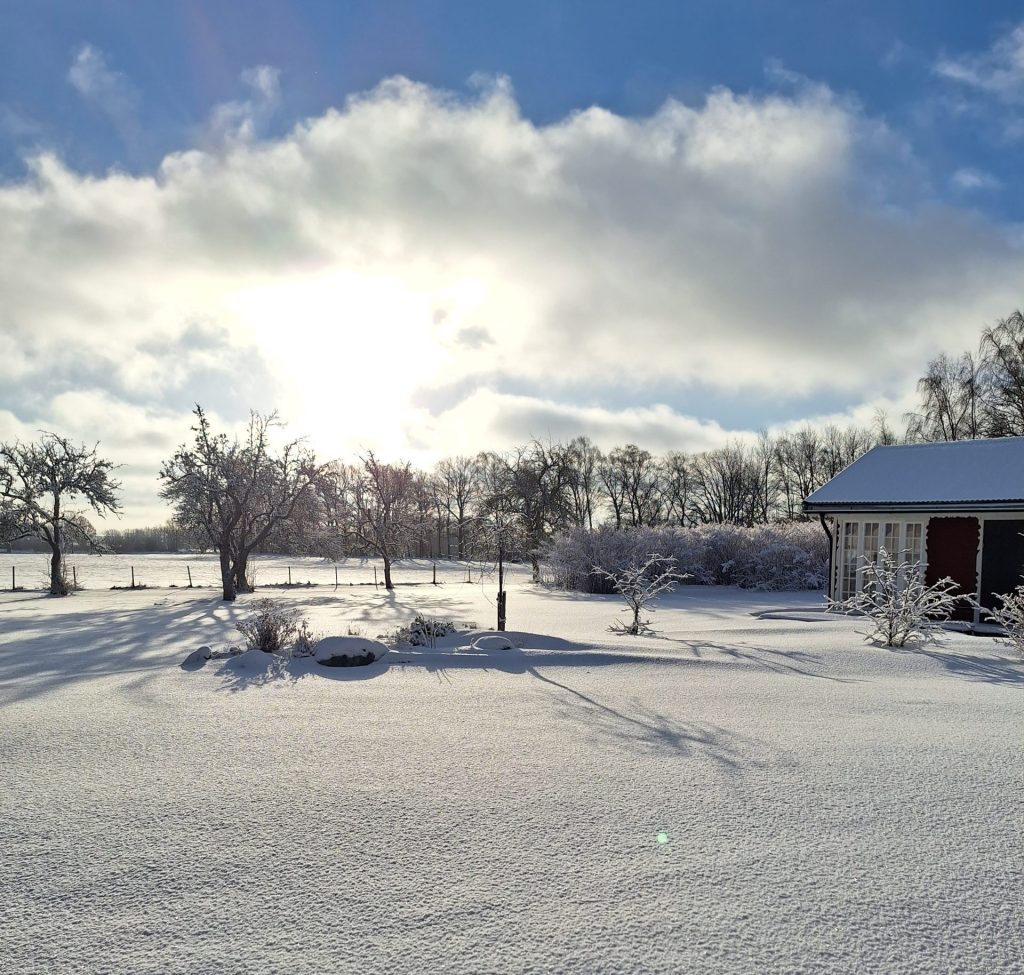 Snöbild Jan 25